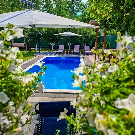 펜션 Vikendica Drinski Lad *